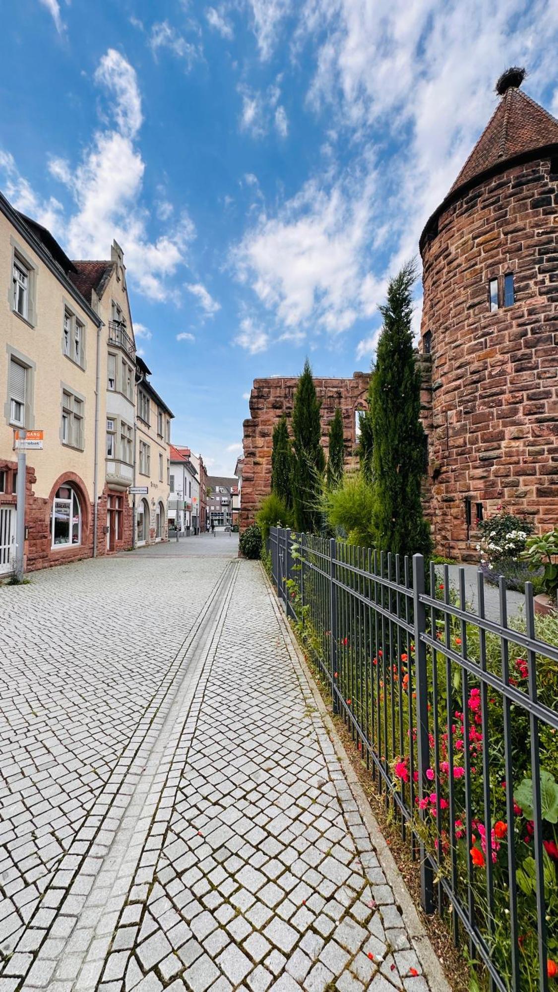 Amao-Brown I Exklusives City-Apartment I 85Qm I Privatparkplatz & Komfort I King-Size Bed Lahr  Eksteriør bilde