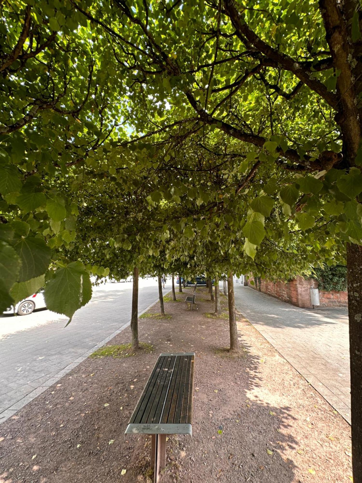 Amao-Brown I Exklusives City-Apartment I 85Qm I Privatparkplatz & Komfort I King-Size Bed Lahr  Eksteriør bilde