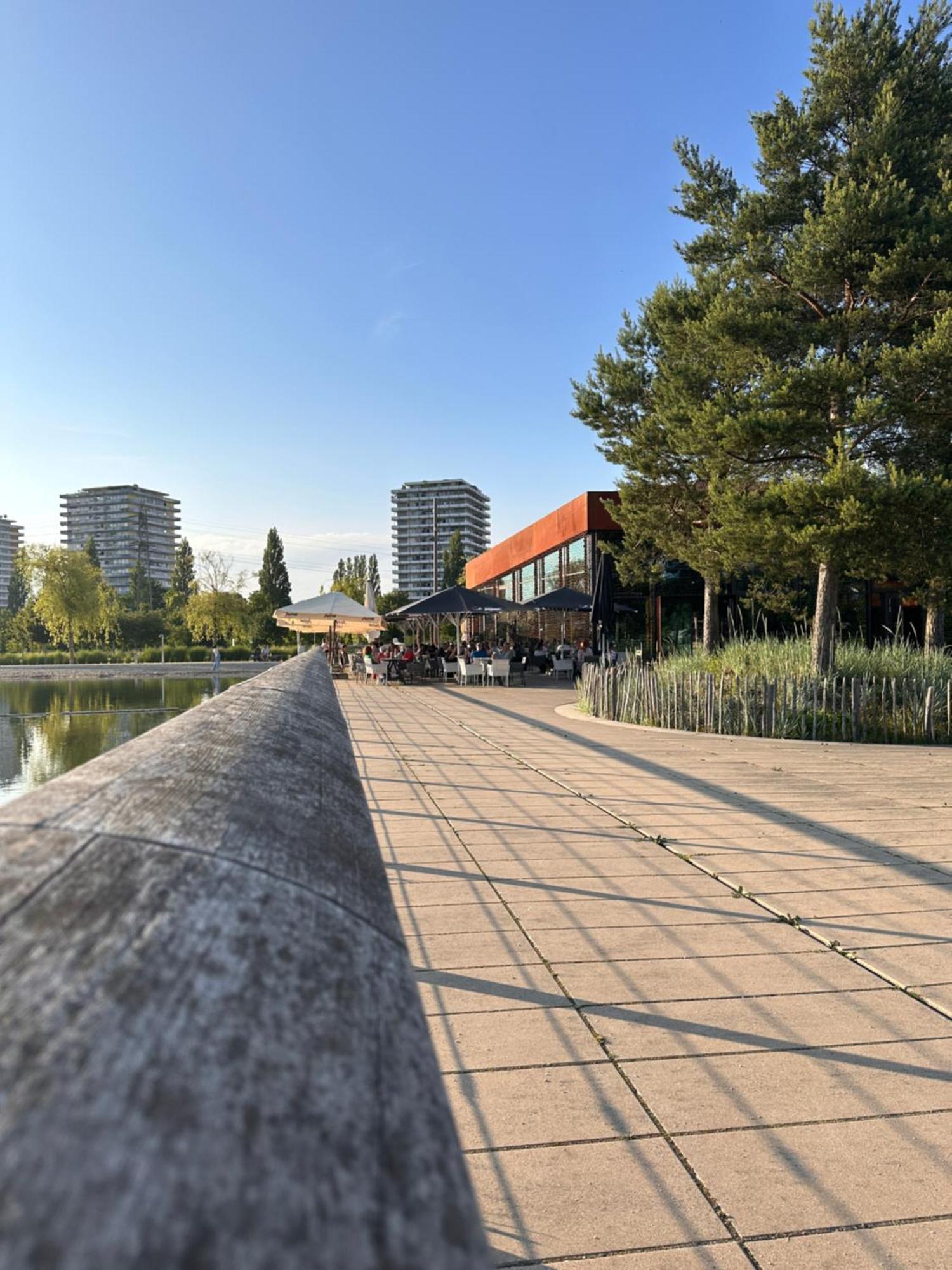 Amao-Brown I Exklusives City-Apartment I 85Qm I Privatparkplatz & Komfort I King-Size Bed Lahr  Eksteriør bilde